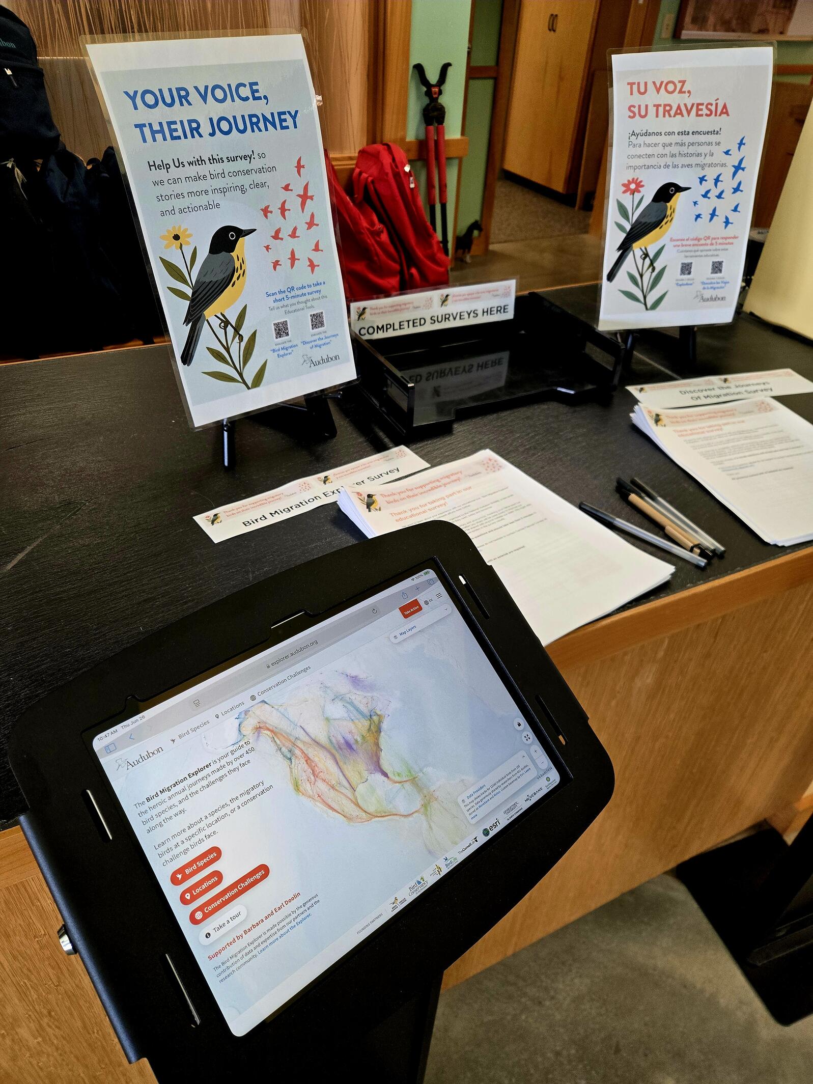 Bird Migration Explorer Kiosk