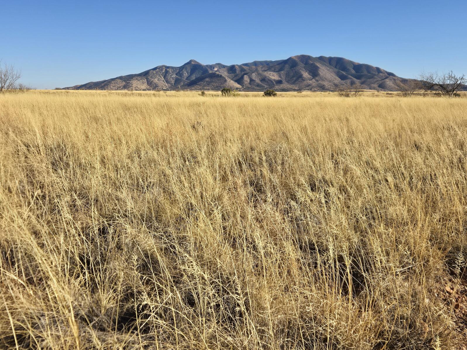 Arizona landscape