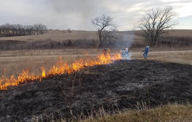 Fire and Fermentation