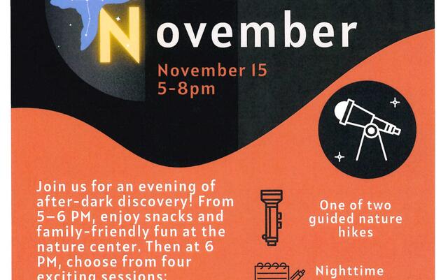 Nocturnal November