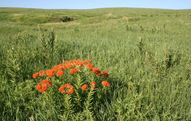 Working Lands