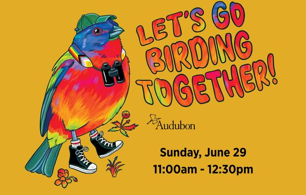 Let's Go Birding Together