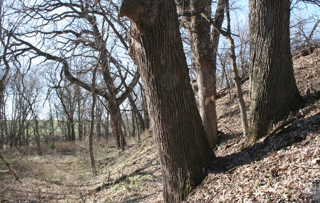 Habitat Management Bids