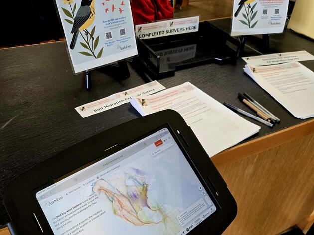 Take A Closer Look – New Bird Migration Explorer Digital Kiosk at Spring Creek Prairie  