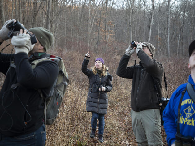Birdwatchers Prepare for Annual Check-in on Feathered Friends