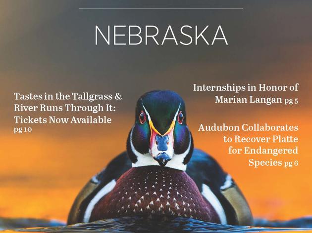 Audubon Nebraska newsletter