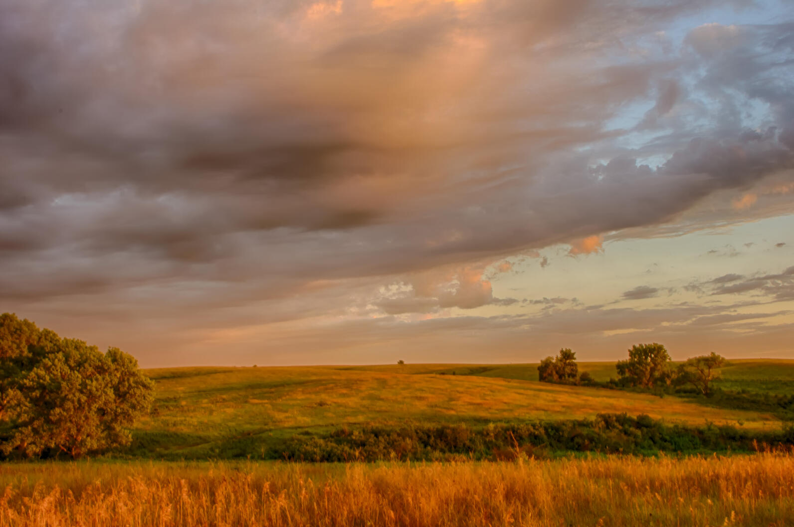 SCP landscape