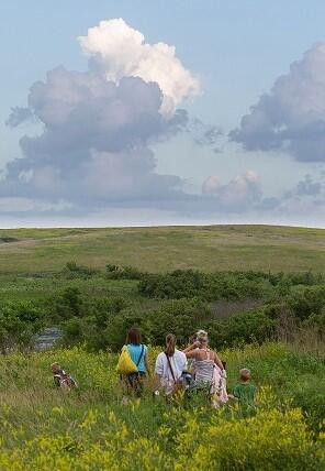 Prairie walk