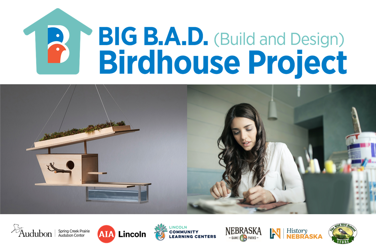 Birdhouse project